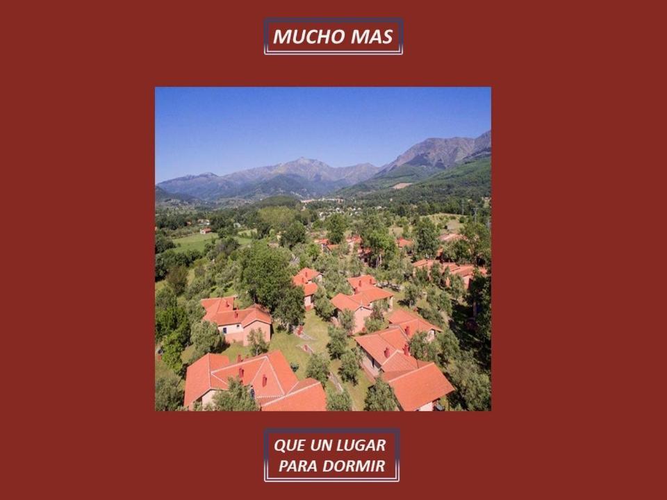 Resort Vacacional Aldea Vetonia: Family-Friendly Retreat in Hervás Exterior photo