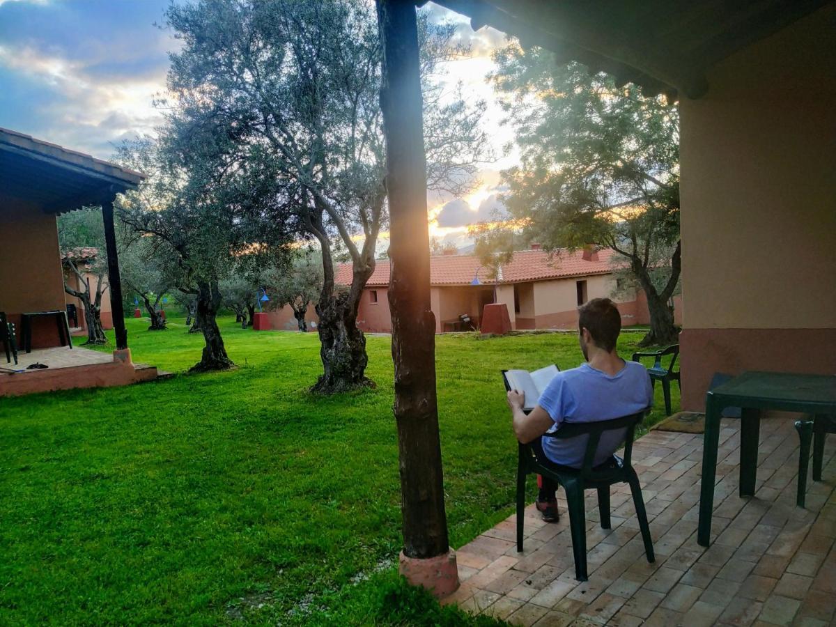 Resort Vacacional Aldea Vetonia: Family-Friendly Retreat in Hervás Exterior photo